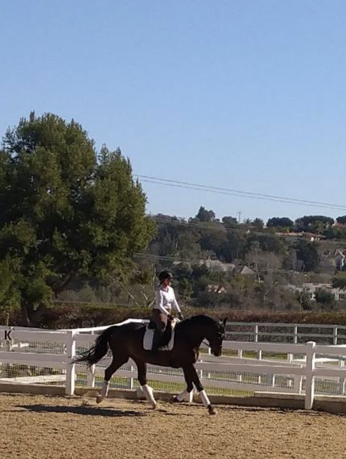 Image of a woman riding dressage in an arena.