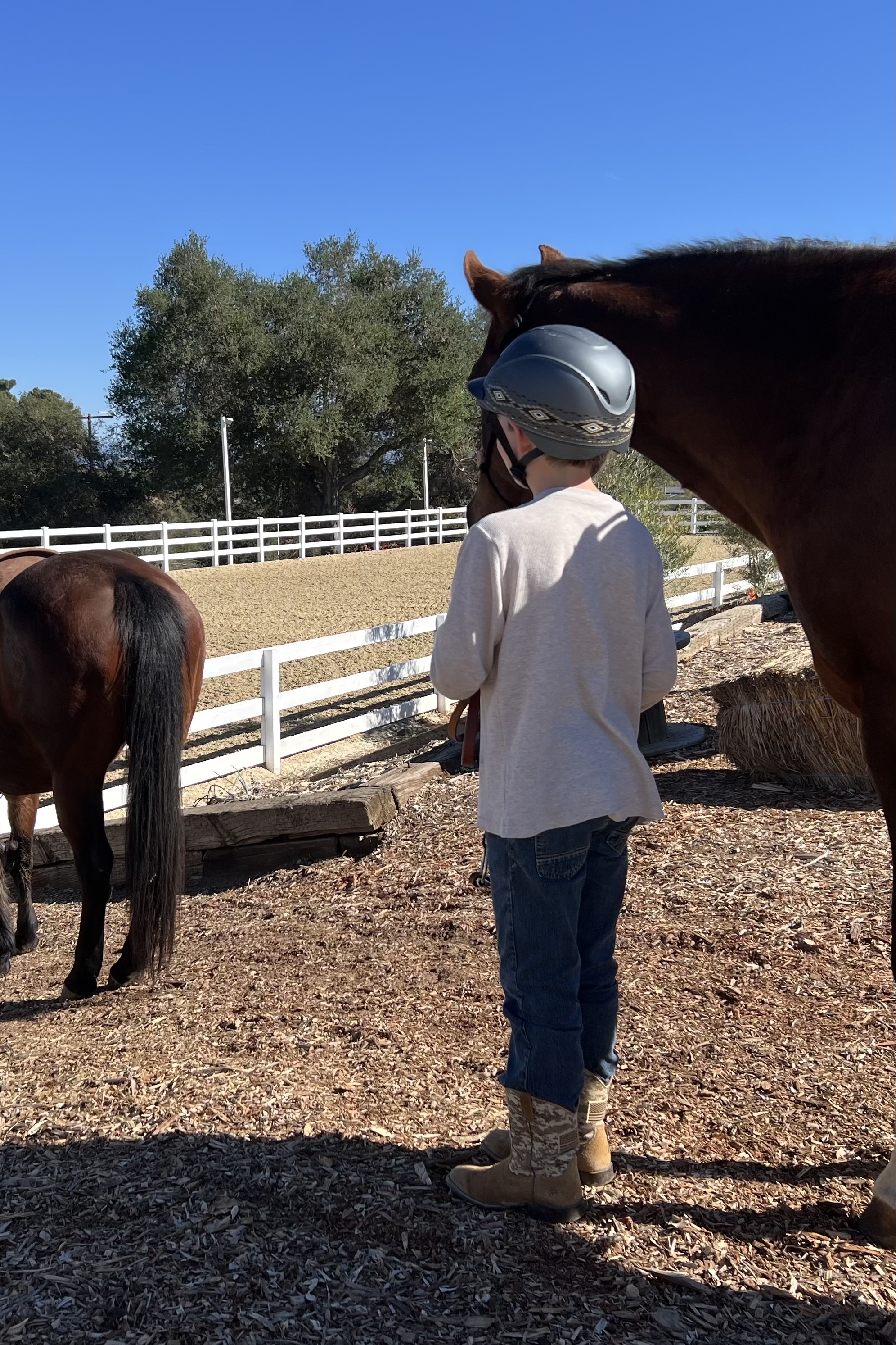 Image of a young boy waiting his turn with his horse to go into the arena.