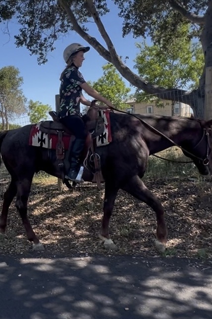 Image of a young boy on a horse.