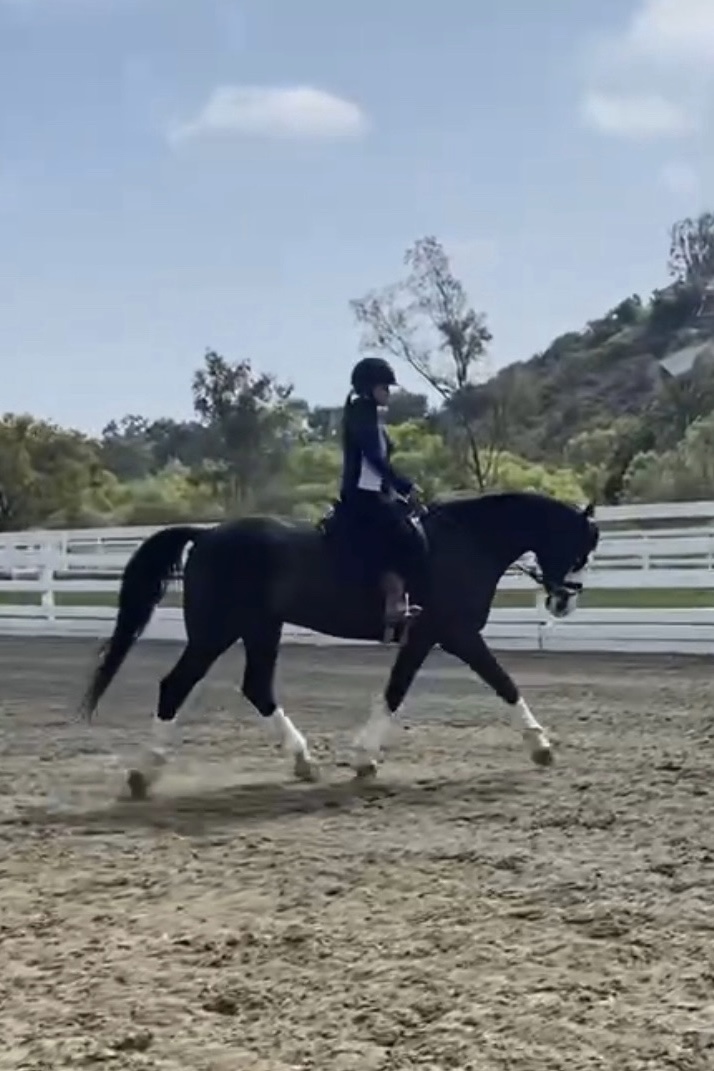 Image of a woman riding dressage at an arena in Fallbrook, CA.