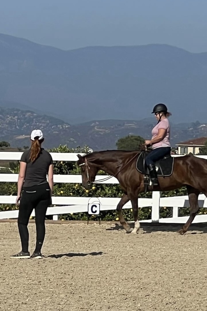 Image of a riding instructor teaching a student on a bay horse.