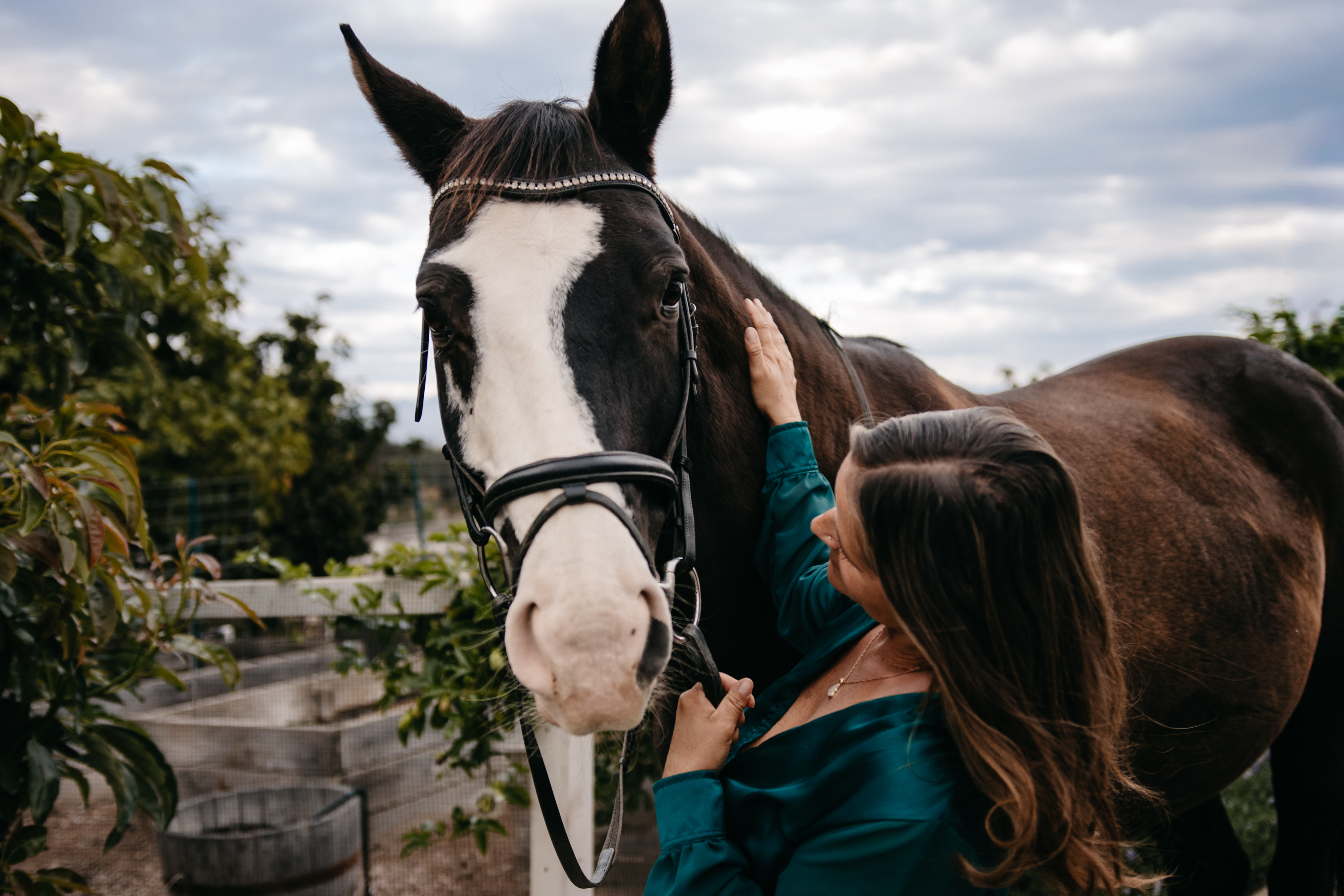 Image of a brown and white Hanoverian horse and his owner.