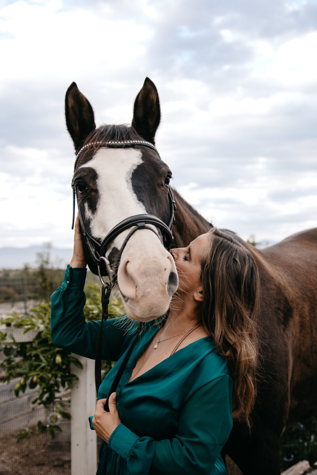 Image of a woman in a dress giving her German warmblood horse a kiss.